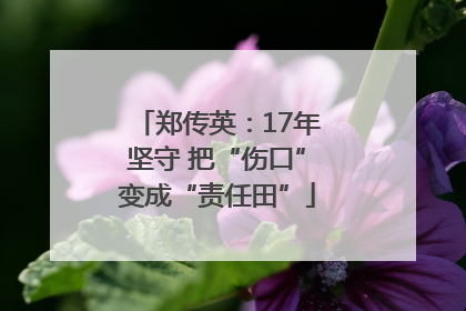 郑传英：17年坚守 把“伤口”变成“责任田”